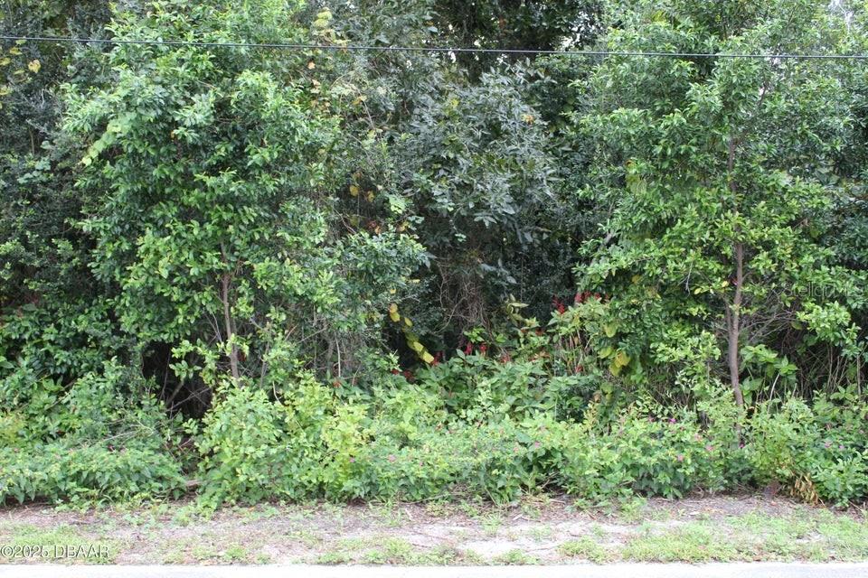 Property for sale at 510 FRED GAMBLE WAY, ORMOND BEACH, FL, 32174