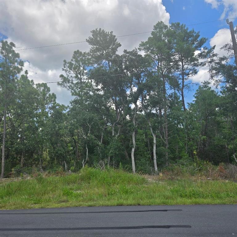 Property for sale at TBD SW 62ND CT, OCALA, FL, 34470