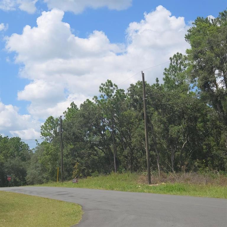 Property for sale at TBD SW 62ND CT, OCALA, FL, 34470