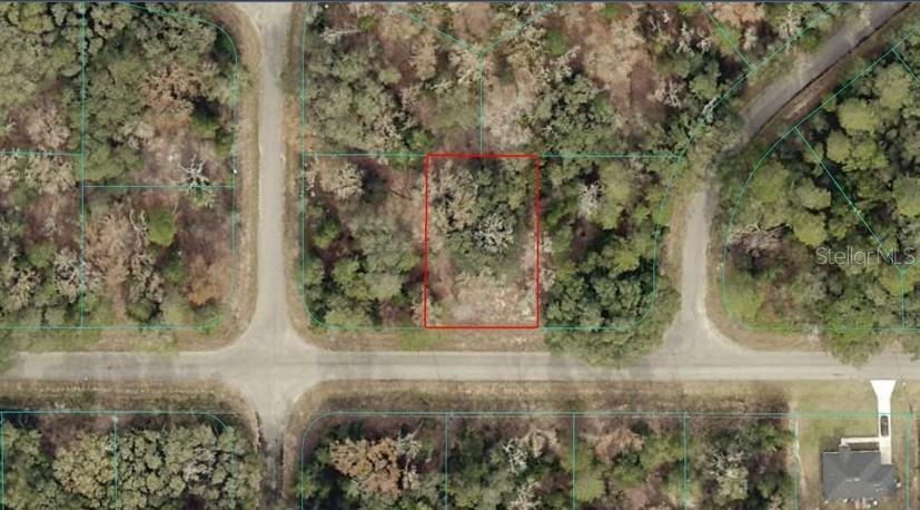 Property for sale at TBA GUAVA PASS, OCKLAWAHA, FL, 32179