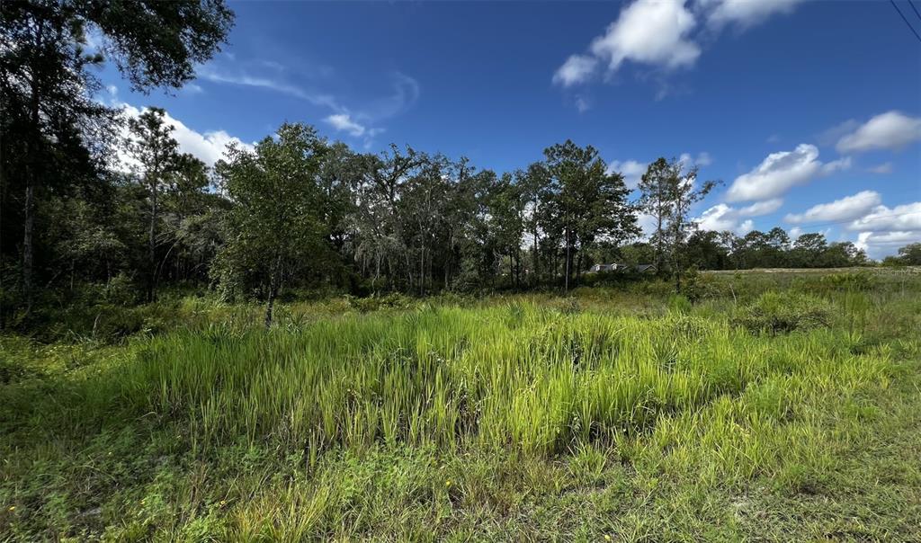Property for sale at 7398 WAGERS DRIVE, WEBSTER, FL, 33597