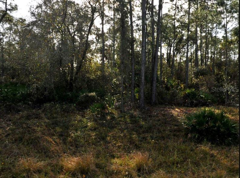 Property for sale at LESTOCK AVENUE, NORTH PORT, FL, 34288