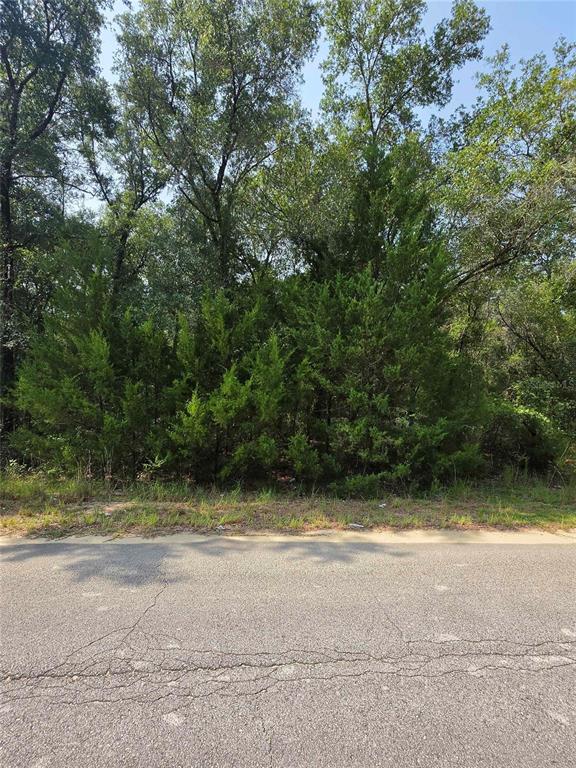 Property for sale at DUVAL AVENUE, INTERLACHEN, FL, 32148