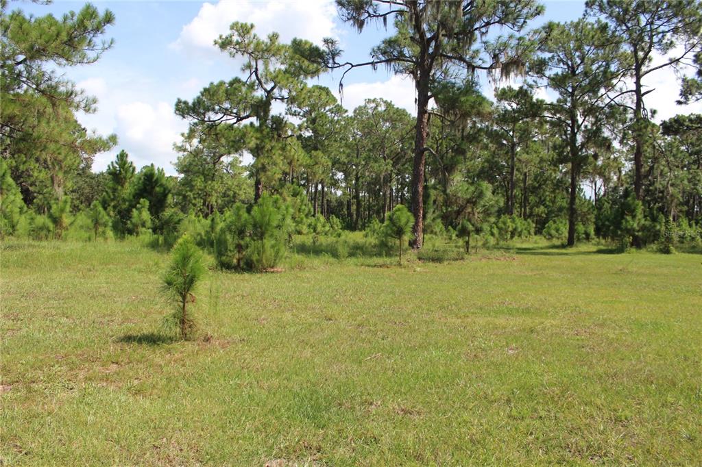 Property for sale at 0 US HIGHWAY 98 W, FROSTPROOF, FL, 33843