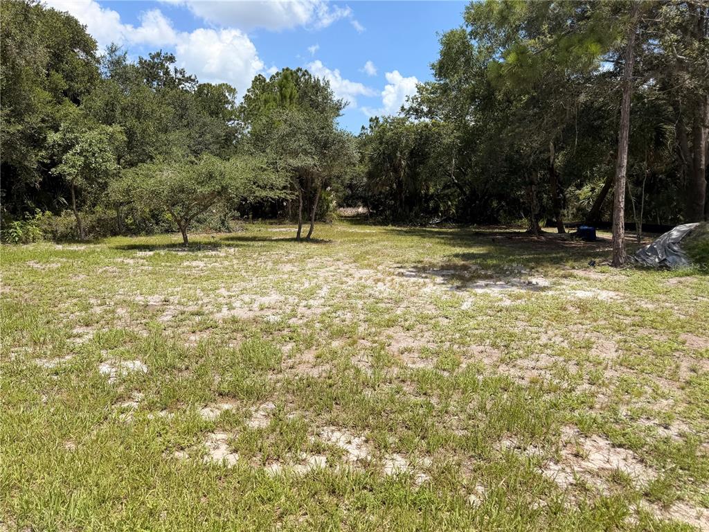 Property for sale at 19128 WILLARD AVENUE, PORT CHARLOTTE, FL, 33954