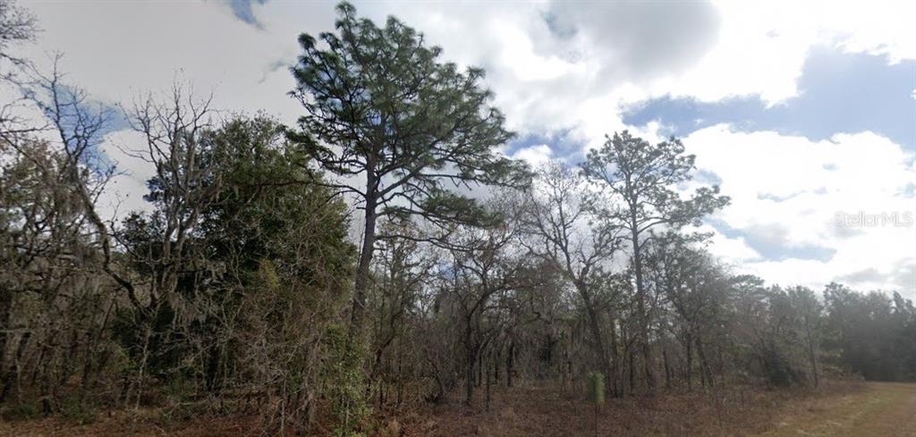 Property for sale at CRIDER ROAD, WEEKI WACHEE, FL, 34614