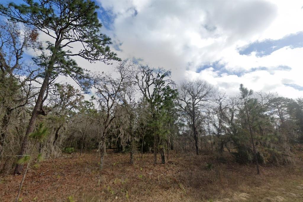 Property for sale at CRIDER ROAD, WEEKI WACHEE, FL, 34614