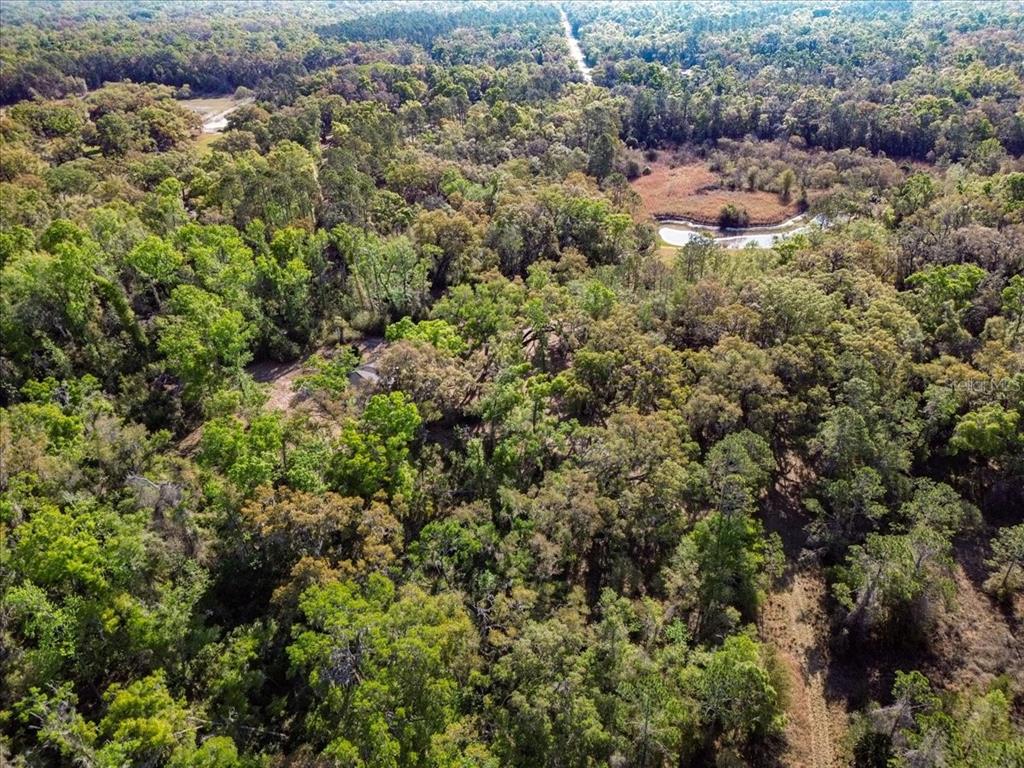 Property for sale at 957 NE 354TH AVENUE, OLD TOWN, FL, 32680