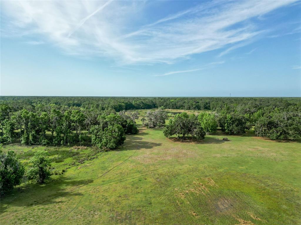 Property for sale at TBD CR 772B, WEBSTER, FL, 33597