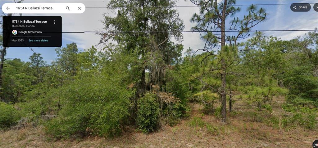 Property for sale at 11754 N BELLUZZI TERRACE, DUNNELLON, FL, 34433