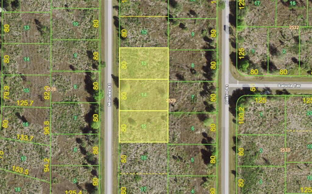 Property for sale at 238, 246 & 254 MORALES STREET, PORT CHARLOTTE, FL, 33953