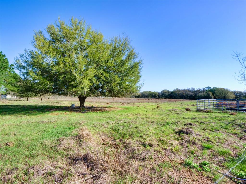 Property for sale at 000000- CR 614A, BUSHNELL, FL, 33513