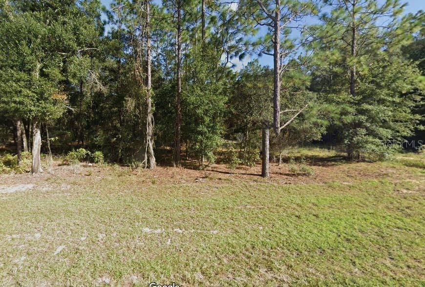 Property for sale at MISSOURI AVENUE, HAWTHORNE, FL, 32640