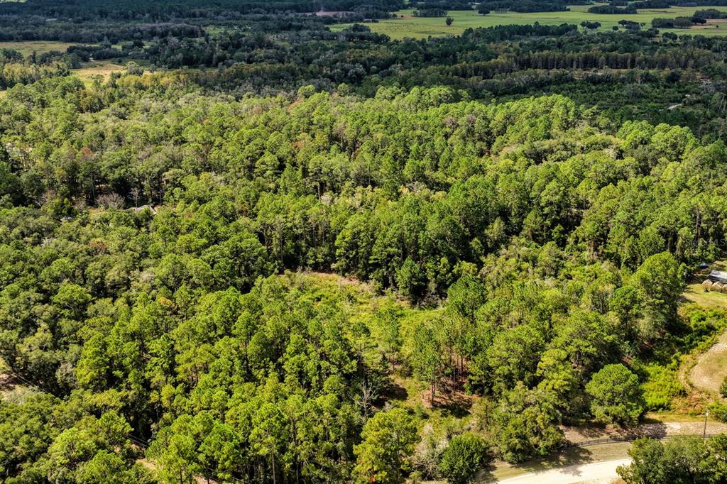 Property for sale at 0 SE 91ST TRAIL, TRENTON, FL, 32693