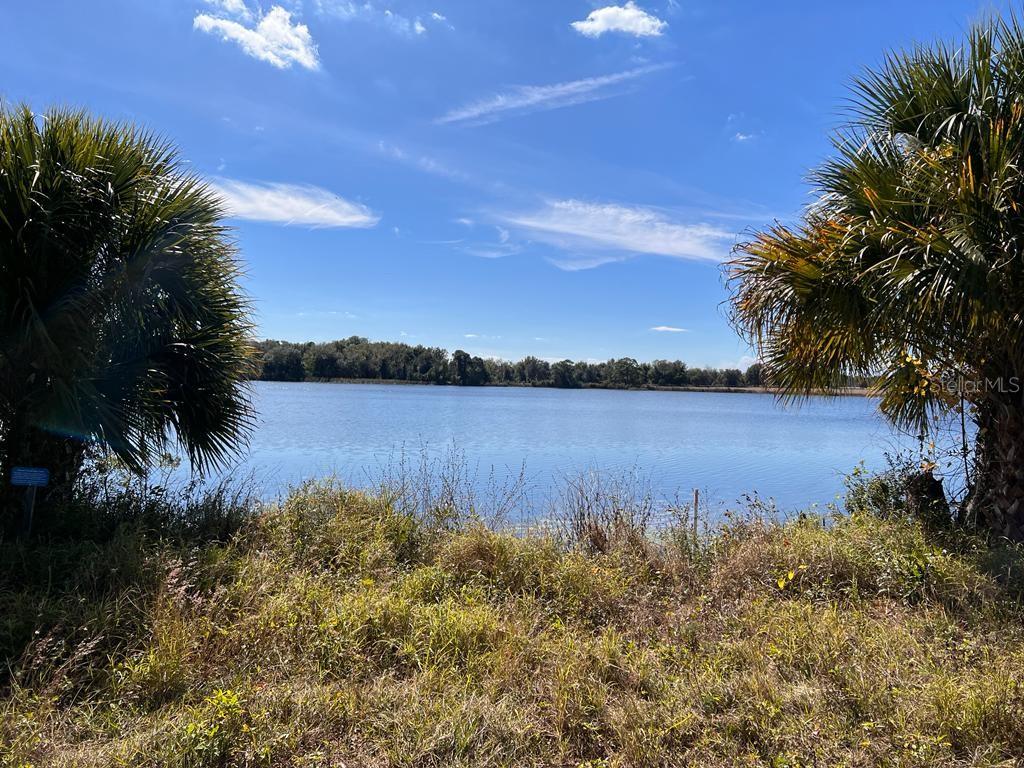 Dock-able waterfront onto Lake Diane