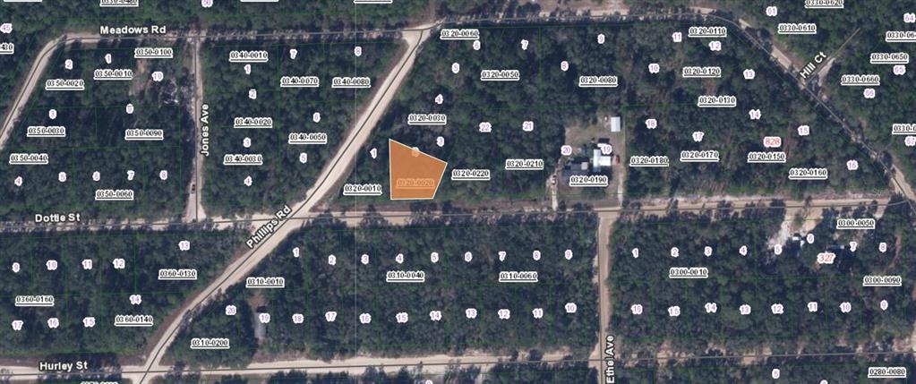 Property for sale at 00 DOTTIE STREET, INTERLACHEN, FL, 32148