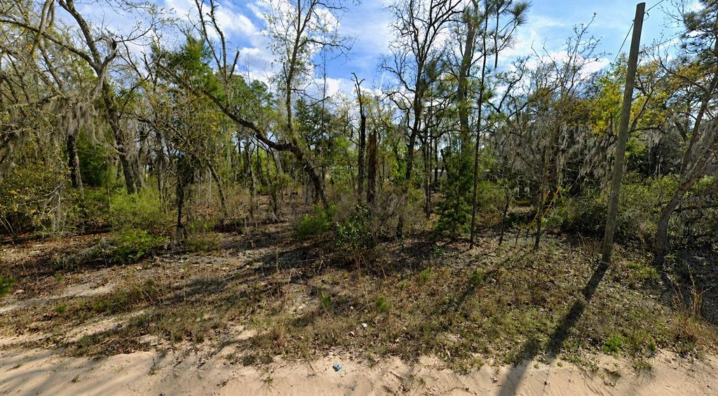 Property for sale at CLAUDIA STREET, INTERLACHEN, FL, 32148