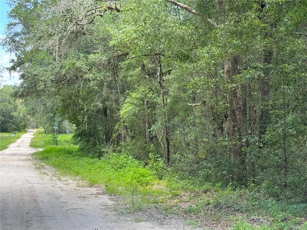 Property for sale at SW 139TH CT, DUNNELLON, FL, 34432