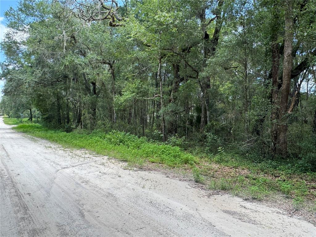 Property for sale at SW 139TH CT, DUNNELLON, FL, 34432