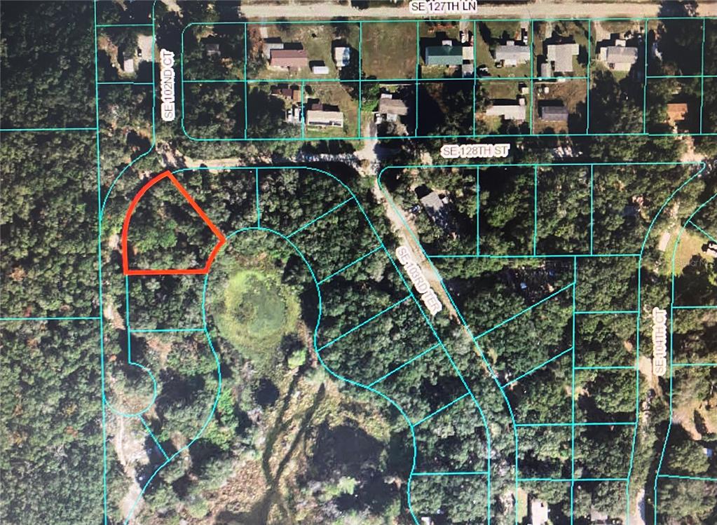 Property for sale at 12851 SE 102ND COURT, BELLEVIEW, FL, 34420