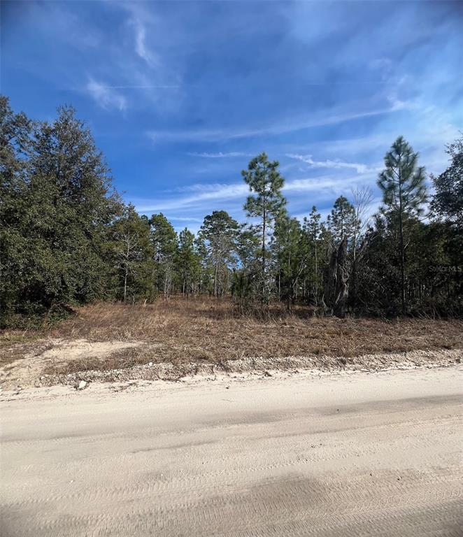 Property for sale at TBD SE 185 TERRACE, MORRISTON, FL, 32668