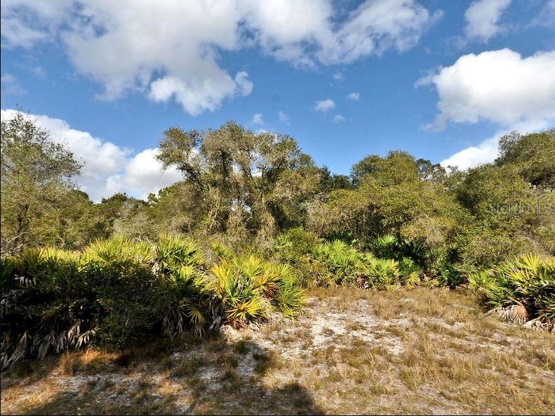Property for sale at CODY CIRCLE, NORTH PORT, FL, 34291