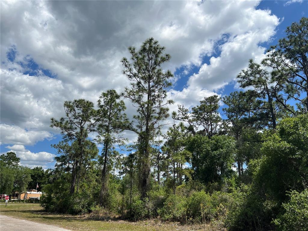 Property for sale at 901 AZALEA DRIVE, INDIAN LAKE ESTATES, FL, 33855