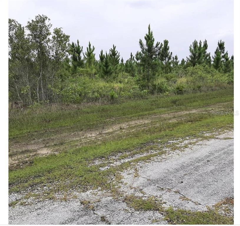Property for sale at CALLIANDRA DRIVE, INDIAN LAKE ESTATES, FL, 33855