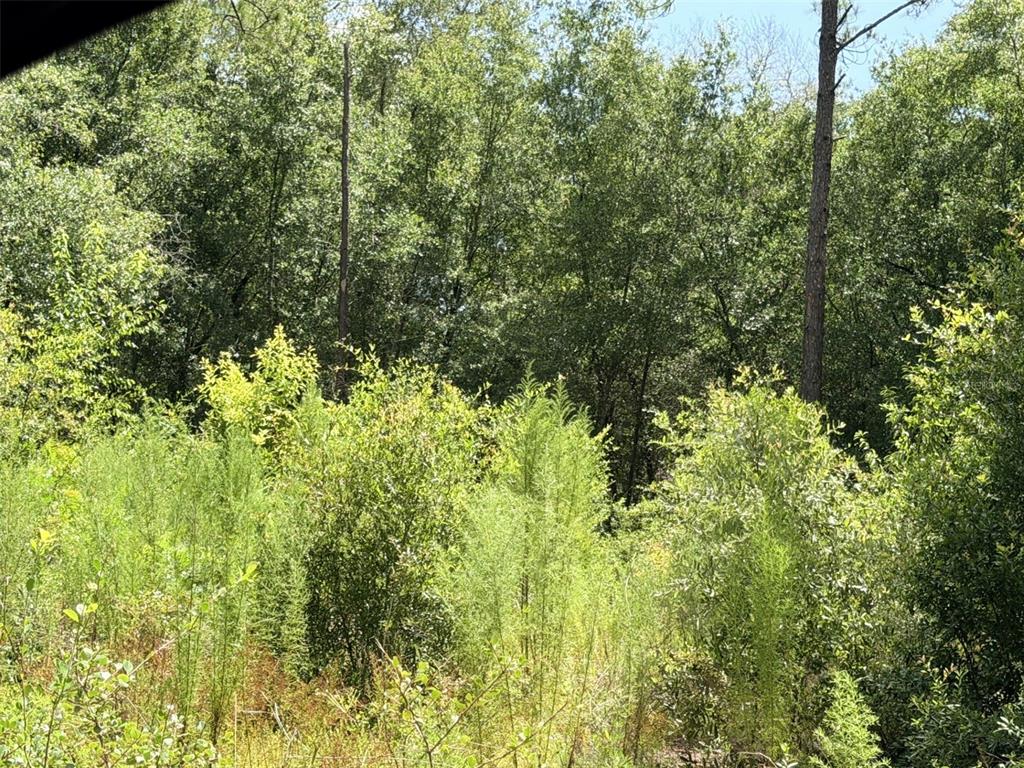 Property for sale at 0 NE 77 PLACE, BRONSON, FL, 32621