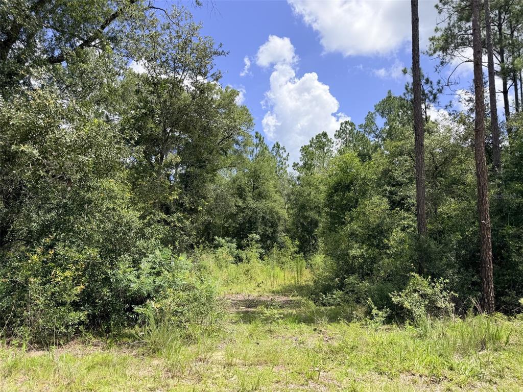 Property for sale at 0 NE 77 PLACE, BRONSON, FL, 32621