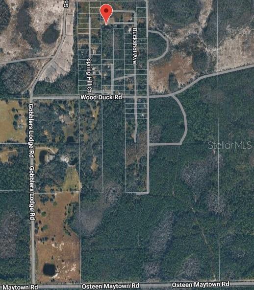 Property for sale at 574 THISTLE HILL DRIVE, OSTEEN, FL, 32764
