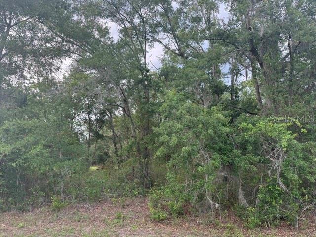 Property for sale at 21902 NE 69TH PLACE, MELROSE, FL, 32666
