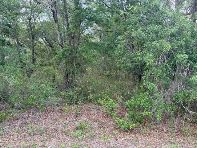 Property for sale at 21902 NE 69TH PLACE, MELROSE, FL, 32666