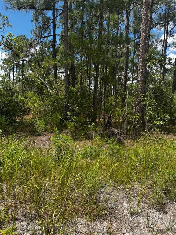 Property for sale at MCCLELLAN ROAD UNIT 6, FROSTPROOF, FL, 33843