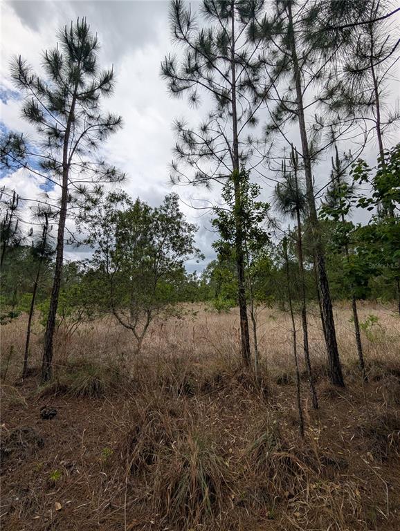 Property for sale at 38521 ILEX TRAIL, EUSTIS, FL, 32736