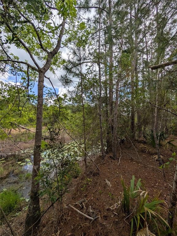 Property for sale at 38521 ILEX TRAIL, EUSTIS, FL, 32736