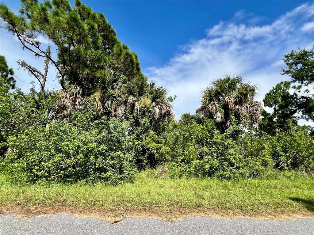 Property for sale at 2168 BELVOIR STREET, PORT CHARLOTTE, FL, 33953