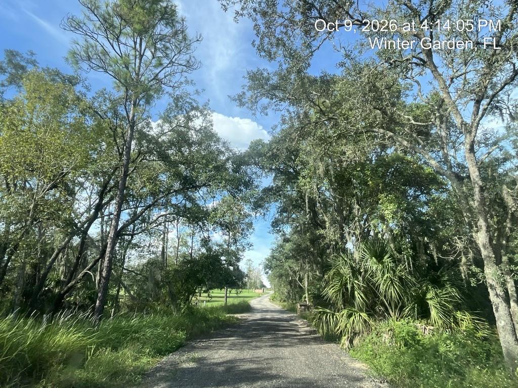 Property for sale at 9901 AVALON WOODS DRIVE, WINTER GARDEN, FL, 34787
