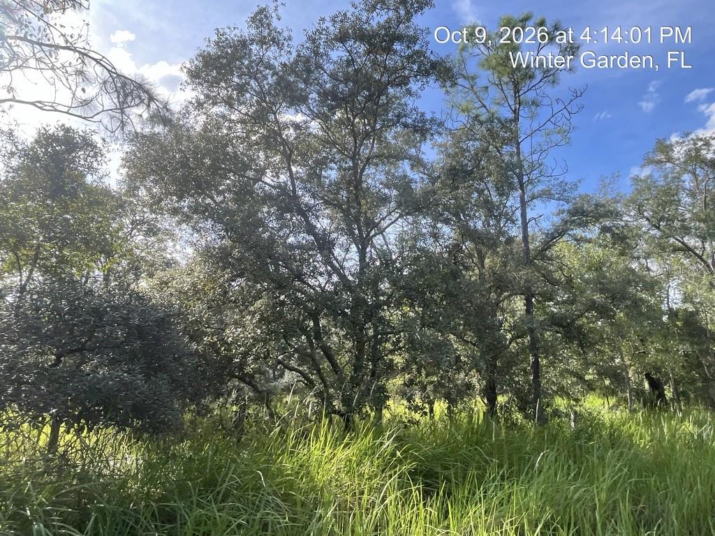 Property for sale at 9901 AVALON WOODS DRIVE, WINTER GARDEN, FL, 34787