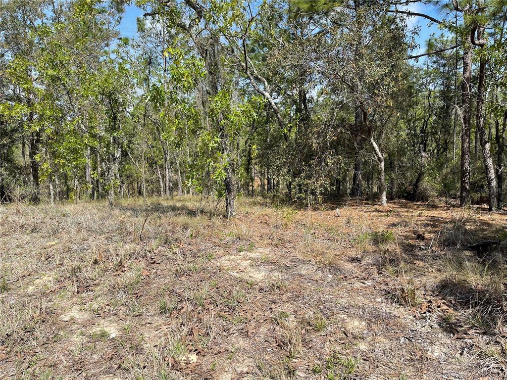 Property for sale at Lot 6 SE 2 STREET, WILLISTON, FL, 32696