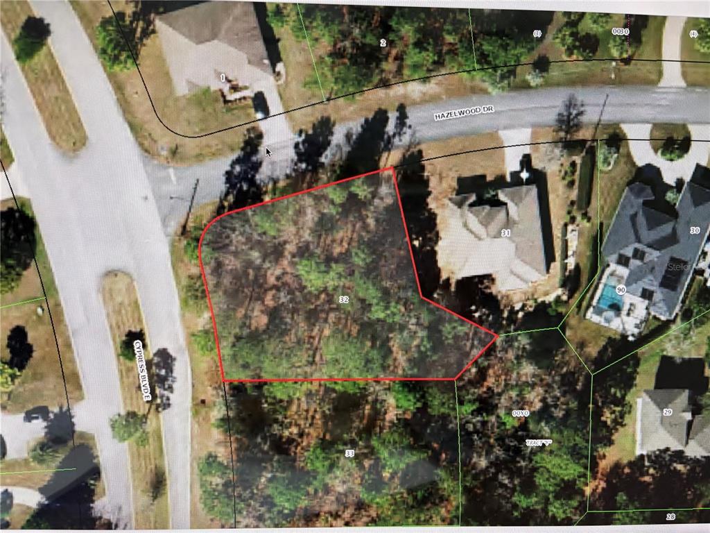 Property for sale at 1 HAZELWOOD DRIVE, HOMOSASSA, FL, 34446