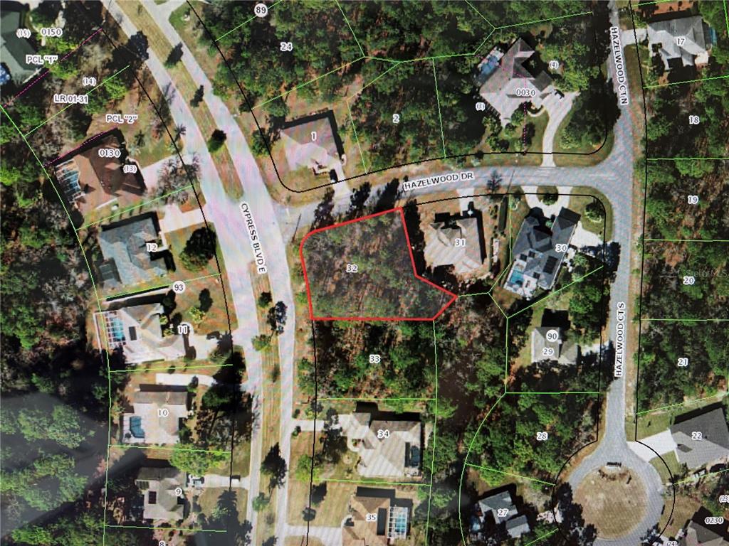 Property for sale at 1 HAZELWOOD DRIVE, HOMOSASSA, FL, 34446