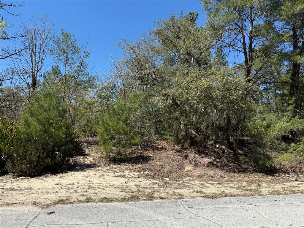 Property for sale at 10762 N MORENO DRIVE, DUNNELLON, FL, 34433