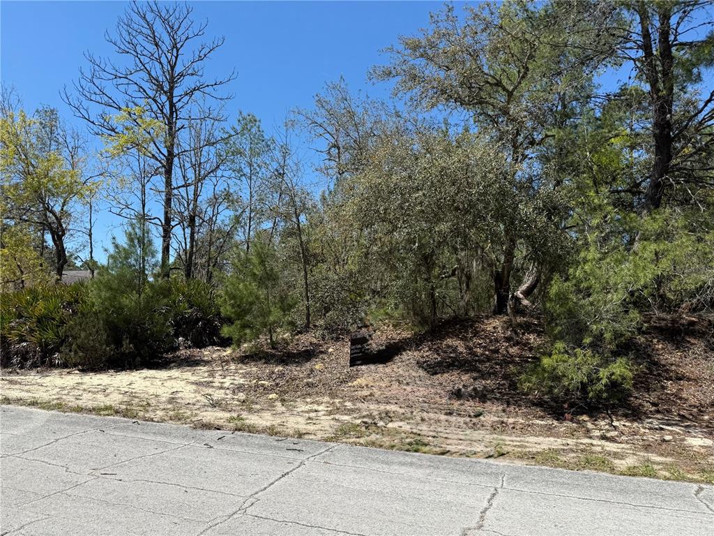 Property for sale at 10762 N MORENO DRIVE, DUNNELLON, FL, 34433