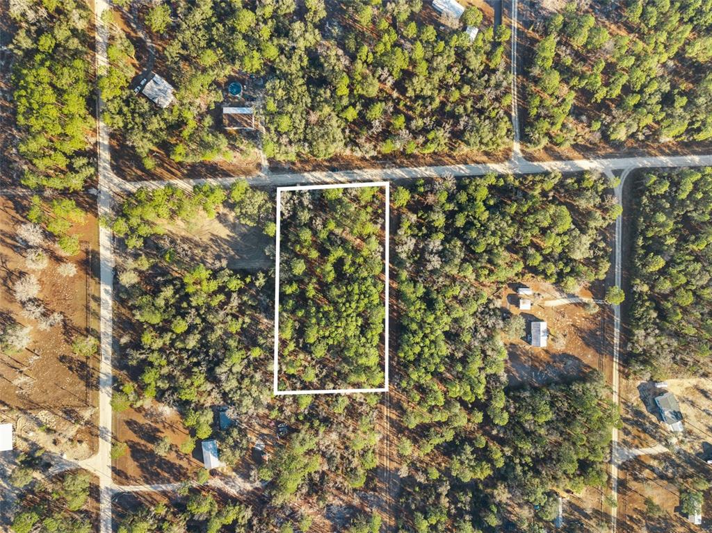 Property for sale at 0 NE 121ST AVENUE, WILLISTON, FL, 32696
