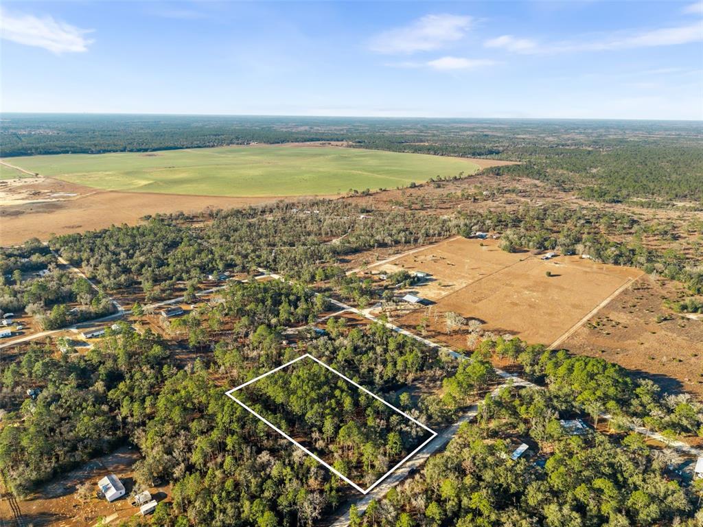 Property for sale at 0 NE 121ST AVENUE, WILLISTON, FL, 32696