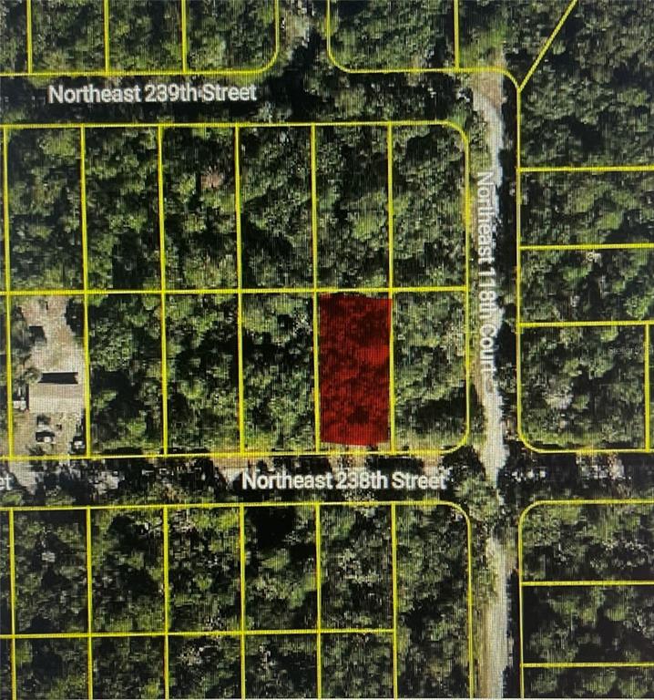 Property for sale at TBD NE 238TH STREET, LOT 11, FORT MC COY, FL, 32134