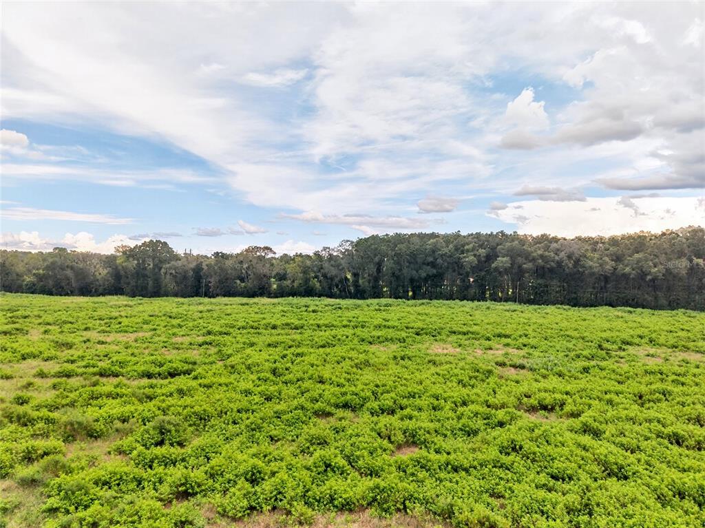 Property for sale at 4949 NW 100TH STREET, OCALA, FL, 34482
