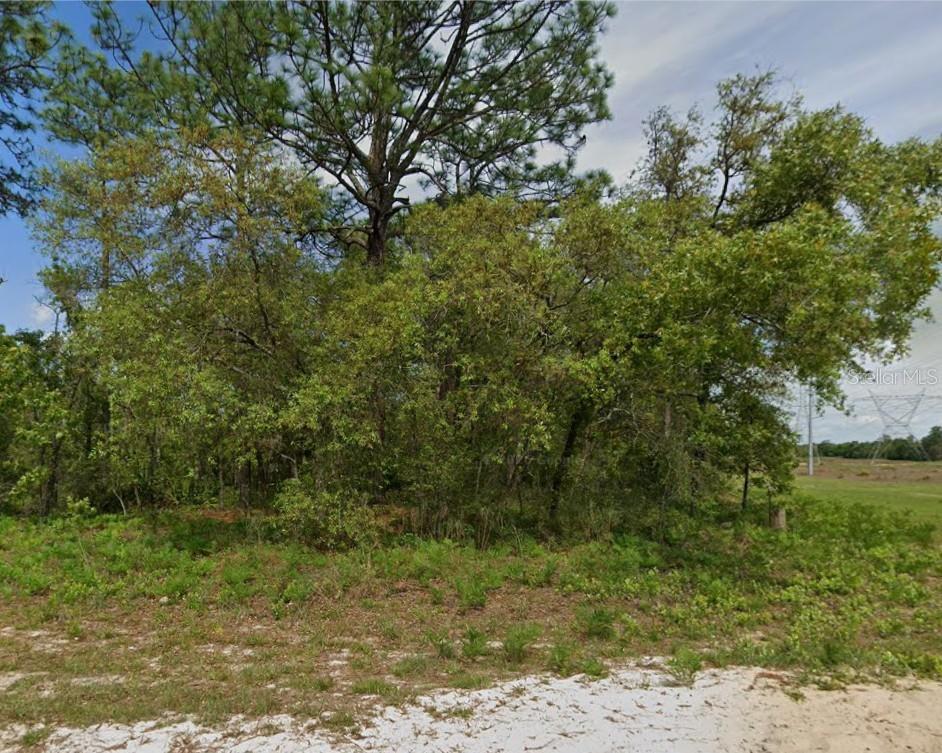 Property for sale at 6895 N VARSITY AVENUE, CITRUS SPRINGS, FL, 34434