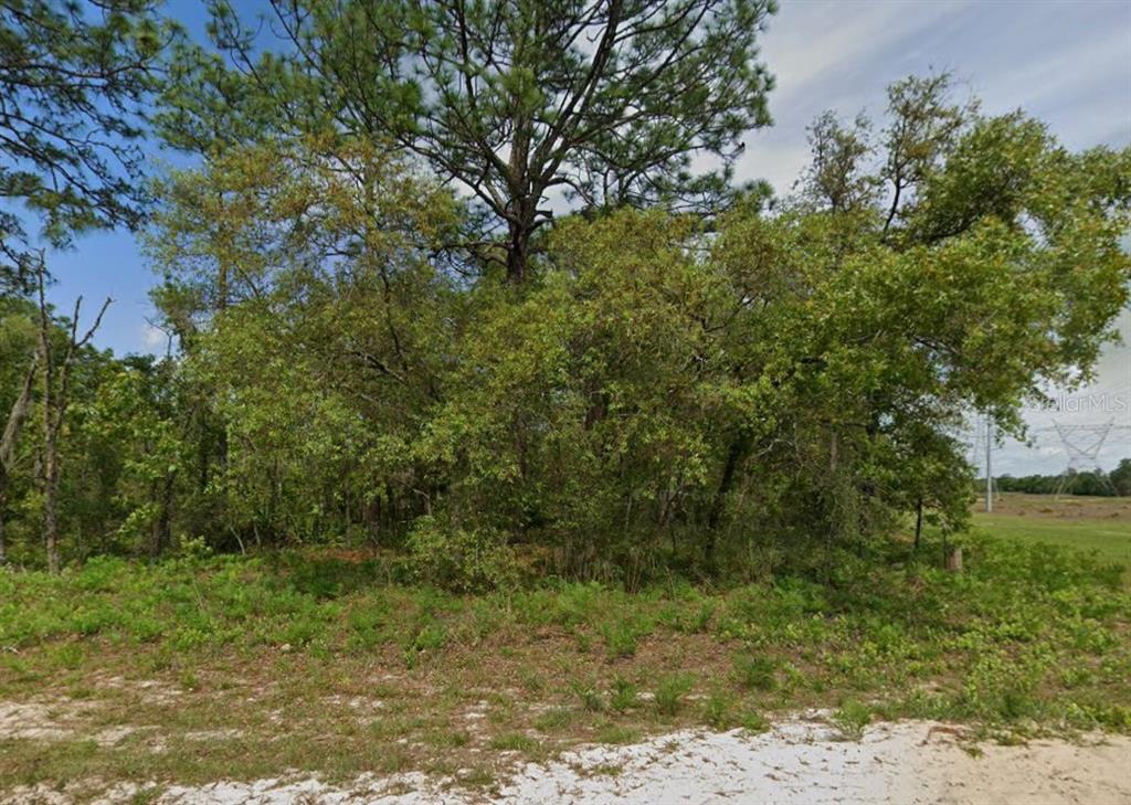 Property for sale at 6895 N VARSITY AVENUE, CITRUS SPRINGS, FL, 34434